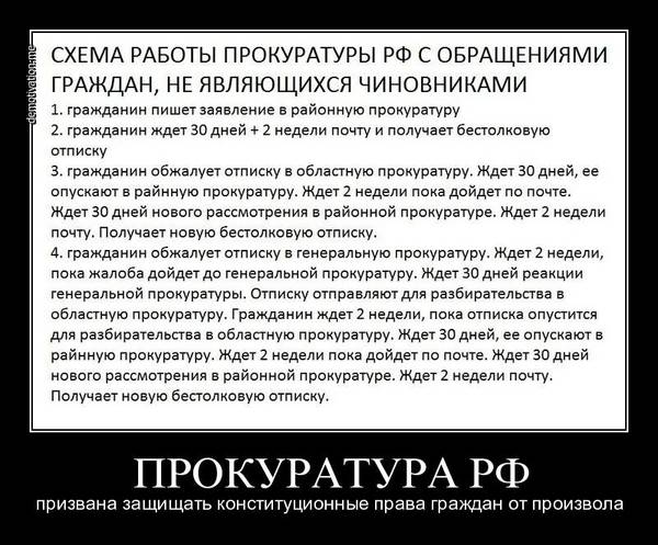 Интересные факты Prokuror-obrascheniya
